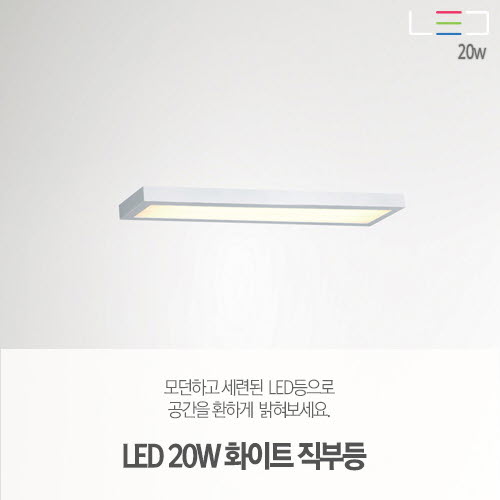 [LED 20W] 화이트 직부등 500x150