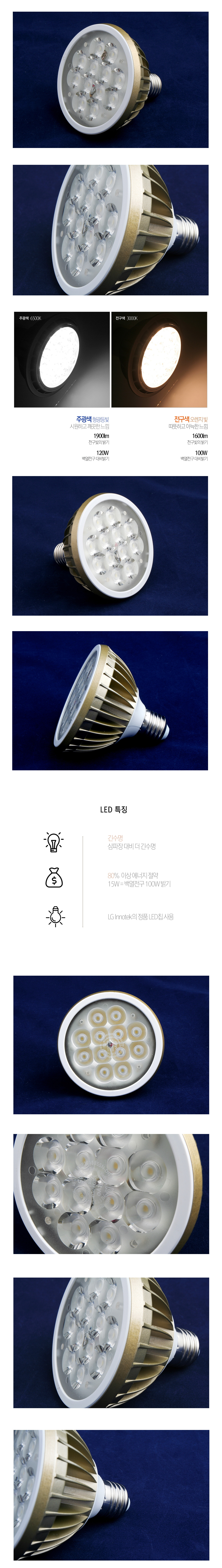 [LED 15W] 씨티 LED PAR30 26B (집중형)