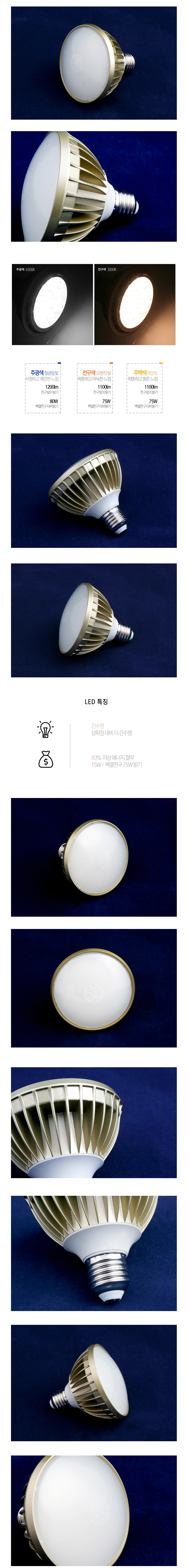[LED 15W] 씨티 LED PAR30 26B (확산형)