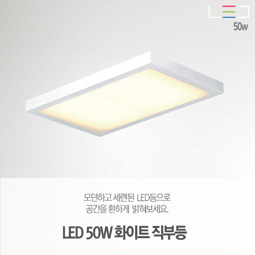 [LED 50W] 화이트 직부등 720x300