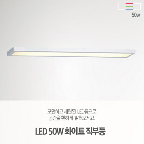 [LED 50W] 화이트 직부등 1200x150