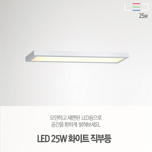 [LED 25W] 화이트 직부등 600x150