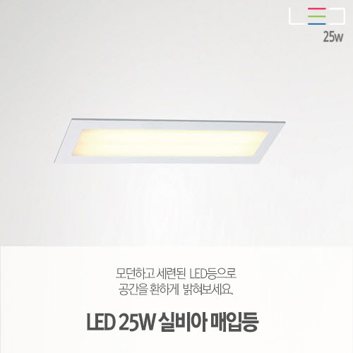 [LED 25W] 실비아 매입등 605x105