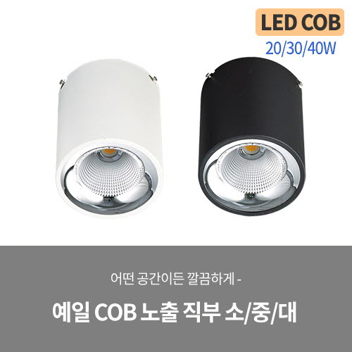 [LED 20/30/40W] 예일 COB 노출 직부 소/중/대 (블랙/화이트)