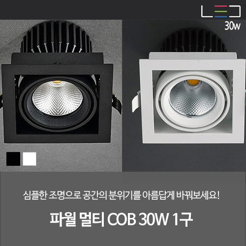 [LED 30W] 파월 멀티 COB 1구 (흑색/백색)