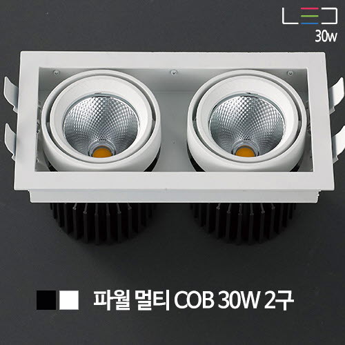 [LED 60W] 파월 멀티 COB 2구 (흑색/백색)