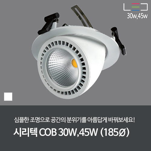[LED 30W/45W] 시리텍 COB 1구 (백색) 타공 185mm