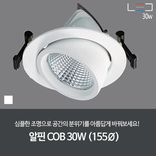 [LED 30W] 알핀 COB 1구 (백색) 타공 155ø