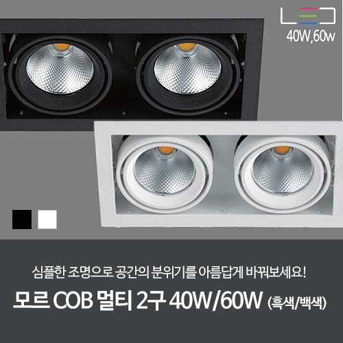 [LED 40W/60W] 모르 COB 멀티 2구 (흑색/백색)