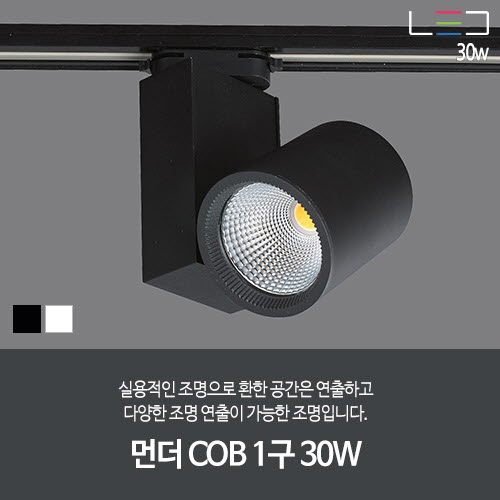 [LED 30W] 먼더 COB 1구 (흑색/백색)