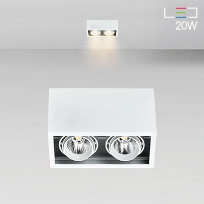 [LED 20W] 포이치 노출2구 직부등 (블랙/화이트)