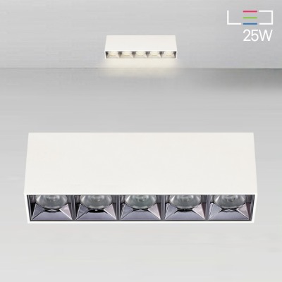 [LED 25W] 모더니아 5구 직부등 (블랙,화이트)