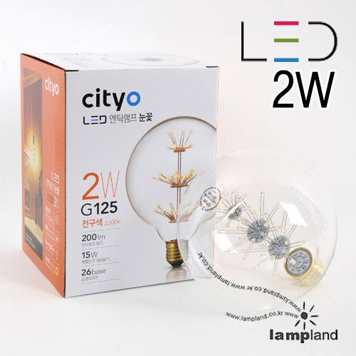 [LED 2W] 씨티오 눈꽃(에디슨) G125 26B